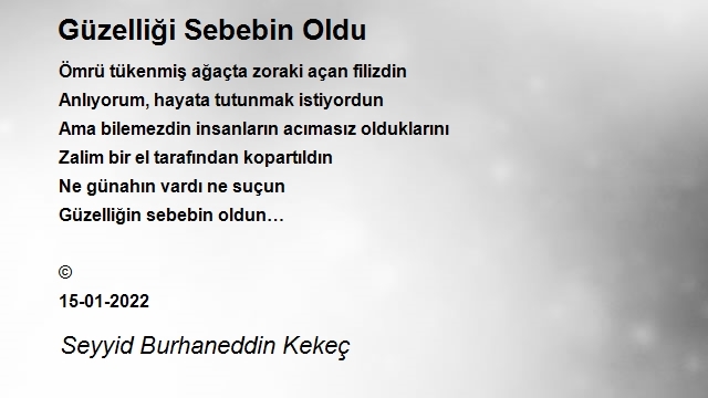 Seyit Burhaneddin Kekeç