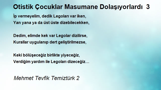 Mehmet Tevfik Temiztürk 2