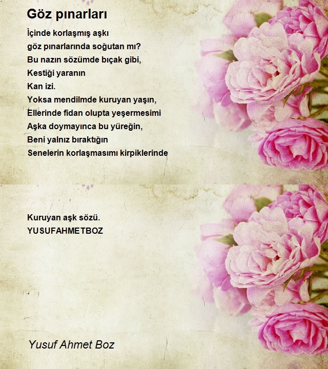 Yusuf Ahmet Boz