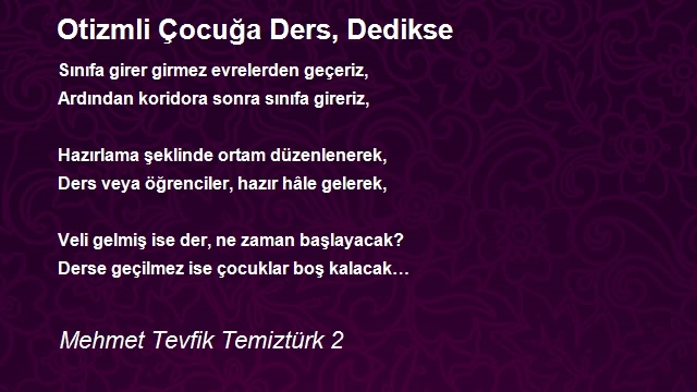 Mehmet Tevfik Temiztürk 2