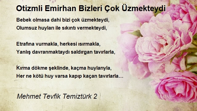 Mehmet Tevfik Temiztürk 2