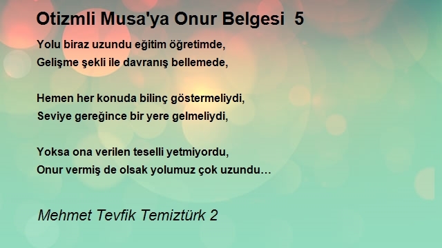 Mehmet Tevfik Temiztürk 2