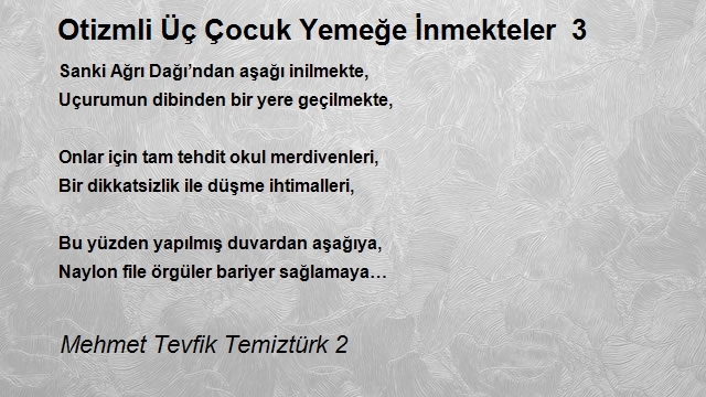 Mehmet Tevfik Temiztürk 2