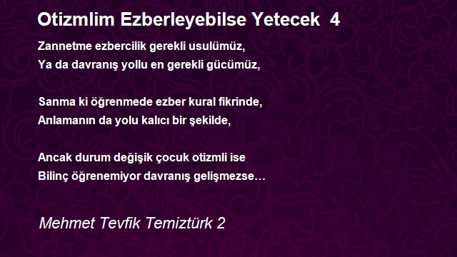 Mehmet Tevfik Temiztürk 2