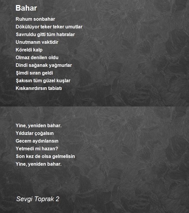 Sevgi Toprak 2