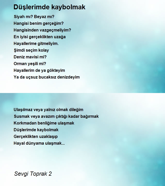 Sevgi Toprak 2