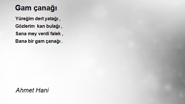 Ahmet Hani