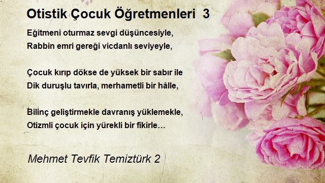 Mehmet Tevfik Temiztürk 2