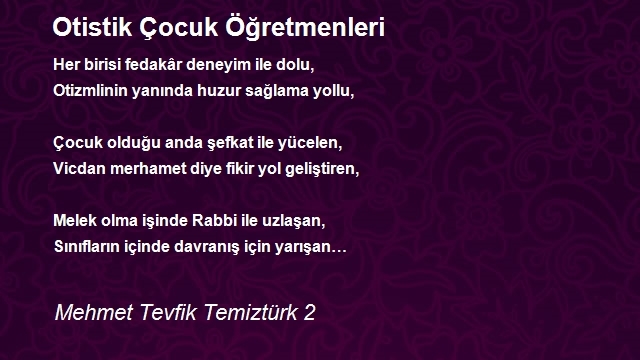 Mehmet Tevfik Temiztürk 2