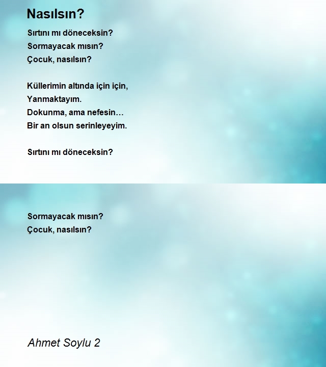 Ahmet Soylu 2