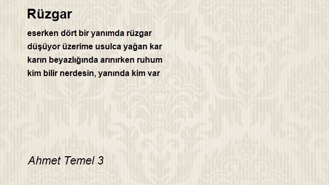 Ahmet Temel 3