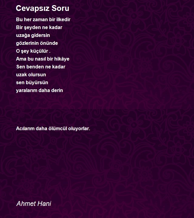 Ahmet Hani