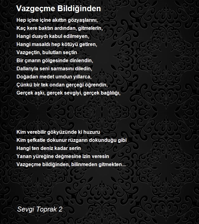 Sevgi Toprak 2