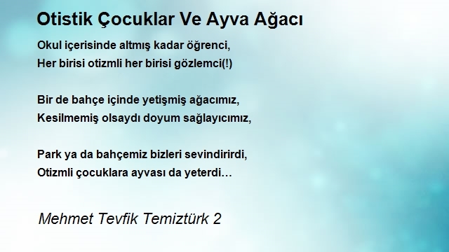 Mehmet Tevfik Temiztürk 2