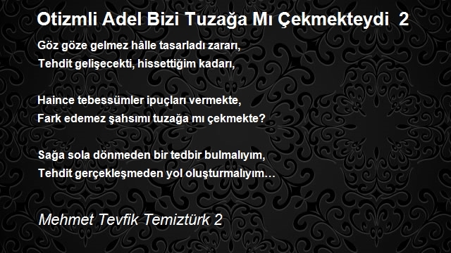 Mehmet Tevfik Temiztürk 2