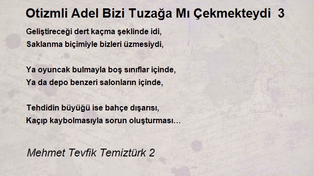 Mehmet Tevfik Temiztürk 2