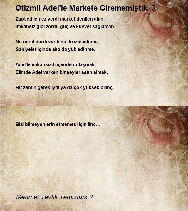 Mehmet Tevfik Temiztürk 2