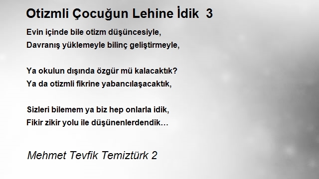 Mehmet Tevfik Temiztürk 2