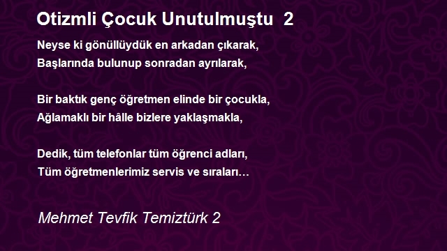 Mehmet Tevfik Temiztürk 2