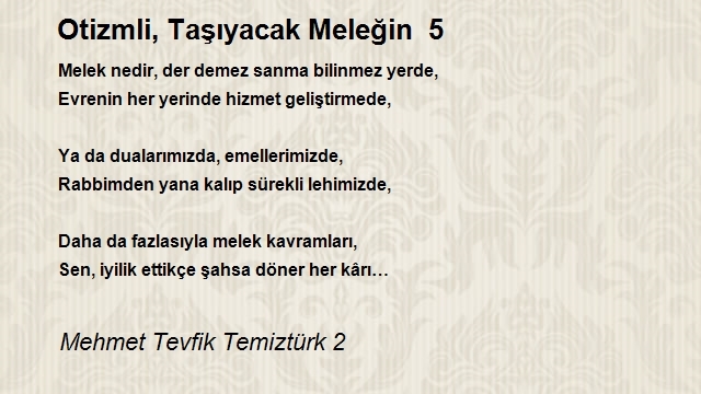 Mehmet Tevfik Temiztürk 2