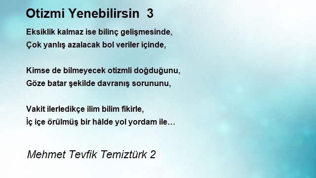 Mehmet Tevfik Temiztürk 2