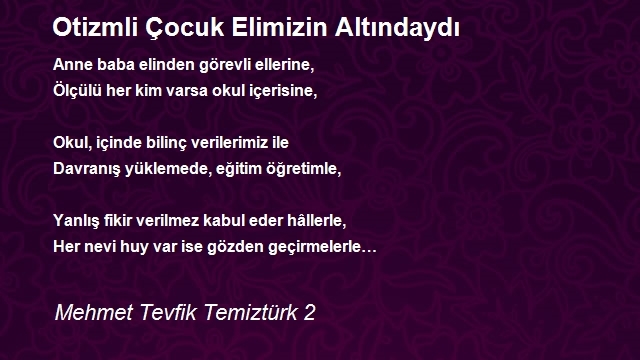 Mehmet Tevfik Temiztürk 2