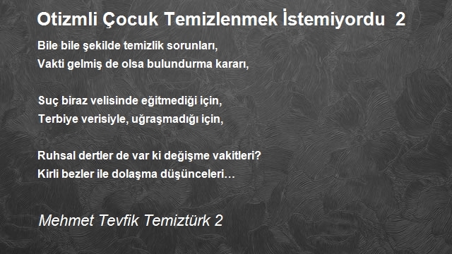 Mehmet Tevfik Temiztürk 2