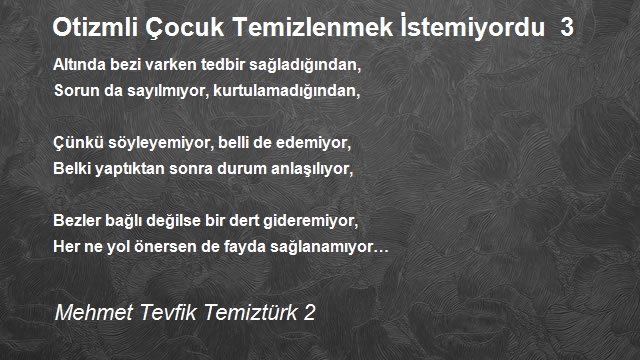 Mehmet Tevfik Temiztürk 2