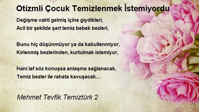 Mehmet Tevfik Temiztürk 2