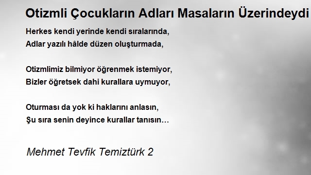 Mehmet Tevfik Temiztürk 2