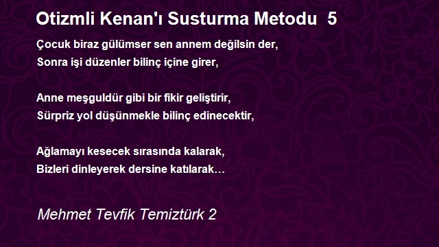 Mehmet Tevfik Temiztürk 2