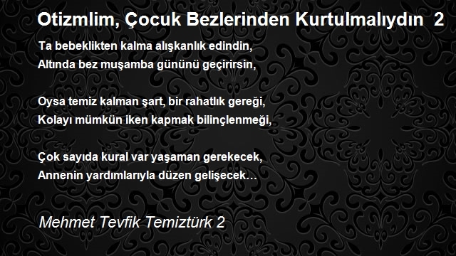 Mehmet Tevfik Temiztürk 2