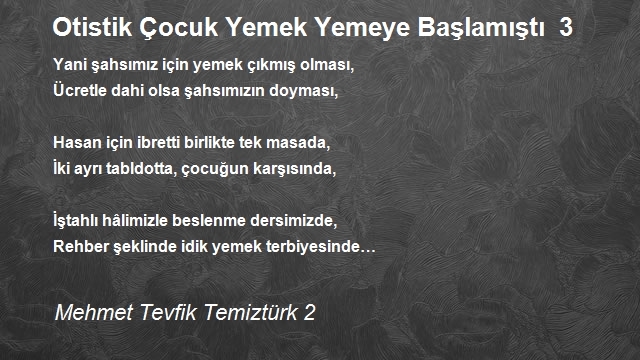 Mehmet Tevfik Temiztürk 2