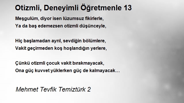 Mehmet Tevfik Temiztürk 2