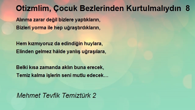 Mehmet Tevfik Temiztürk 2