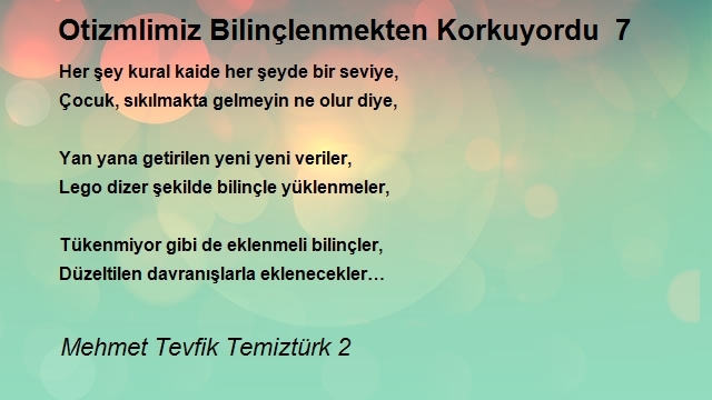 Mehmet Tevfik Temiztürk 2