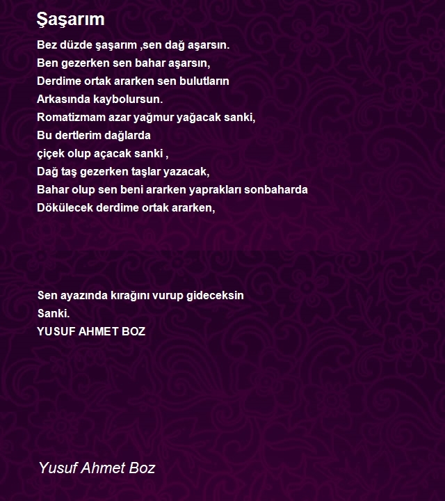 Yusuf Ahmet Boz