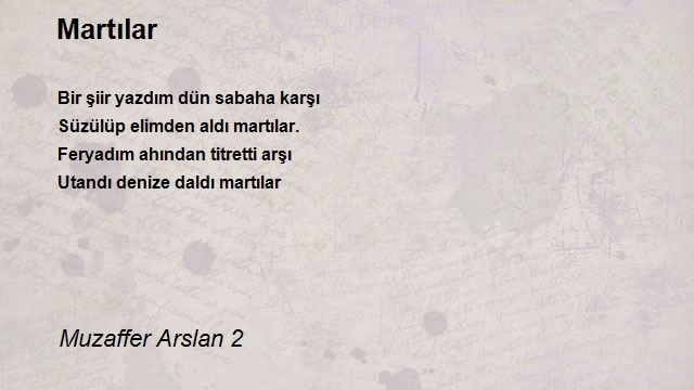 Muzaffer Arslan 2