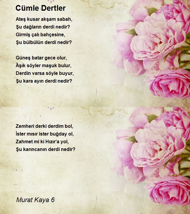 Murat Kaya 6