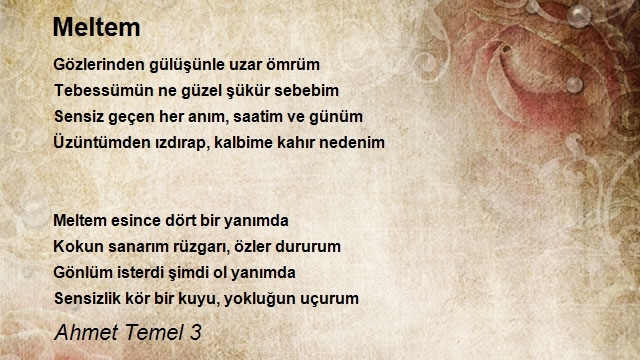 Ahmet Temel 3