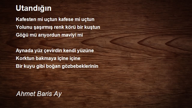 Ahmet Baris Ay