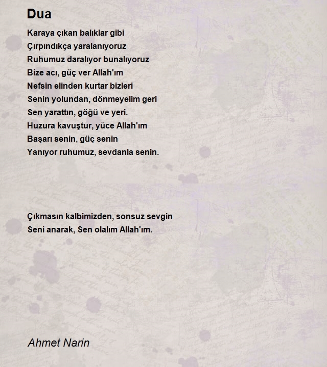 Ahmet Narin