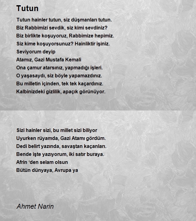 Ahmet Narin