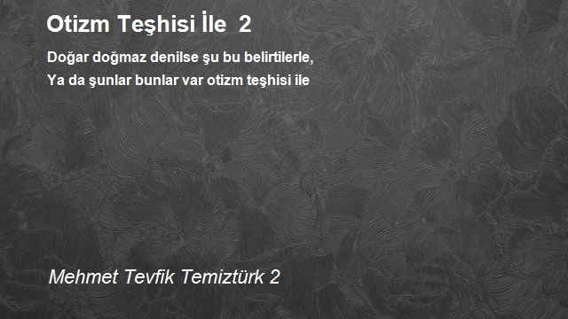 Mehmet Tevfik Temiztürk 2