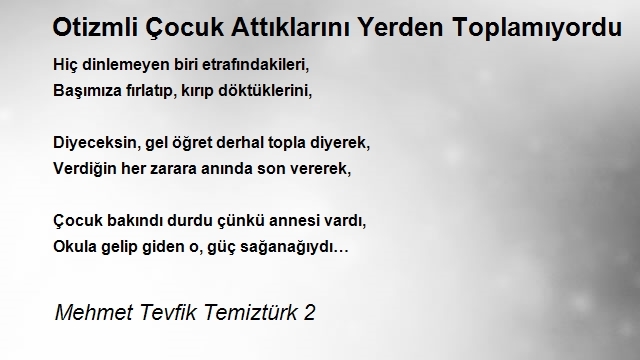 Mehmet Tevfik Temiztürk 2