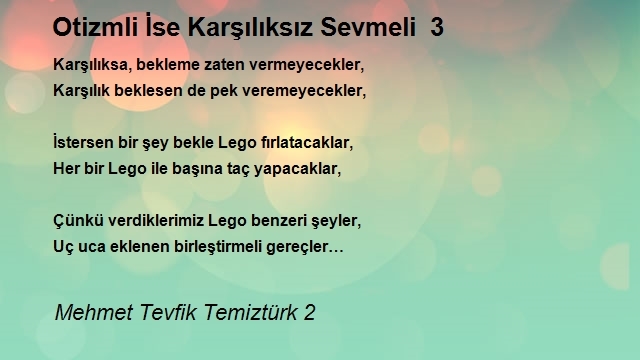 Mehmet Tevfik Temiztürk 2