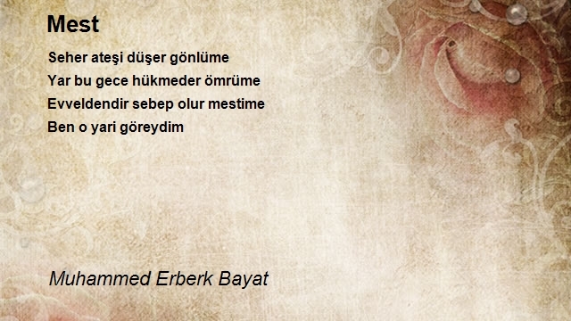 Muhammed Erberk Bayat