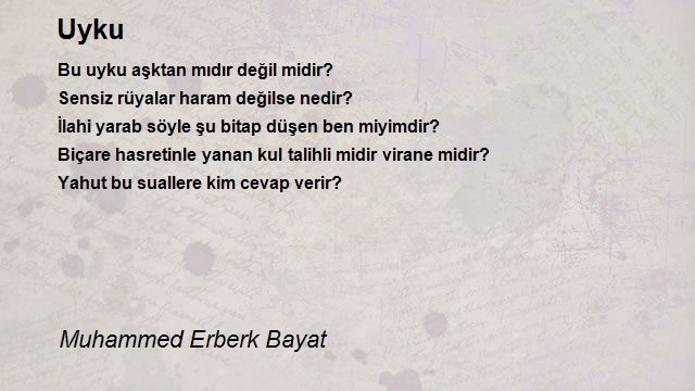 Muhammed Erberk Bayat