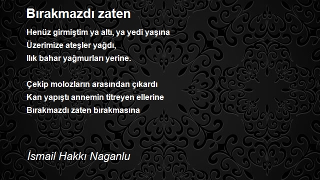 İsmail Hakkı Naganlu