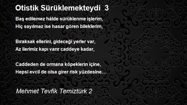 Mehmet Tevfik Temiztürk 2